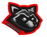 racoon